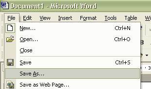 File menu --> Save As